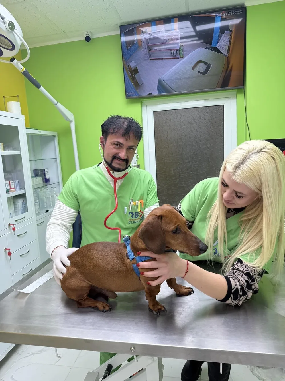 Ветеринарна клиника "RB.VetClinics"