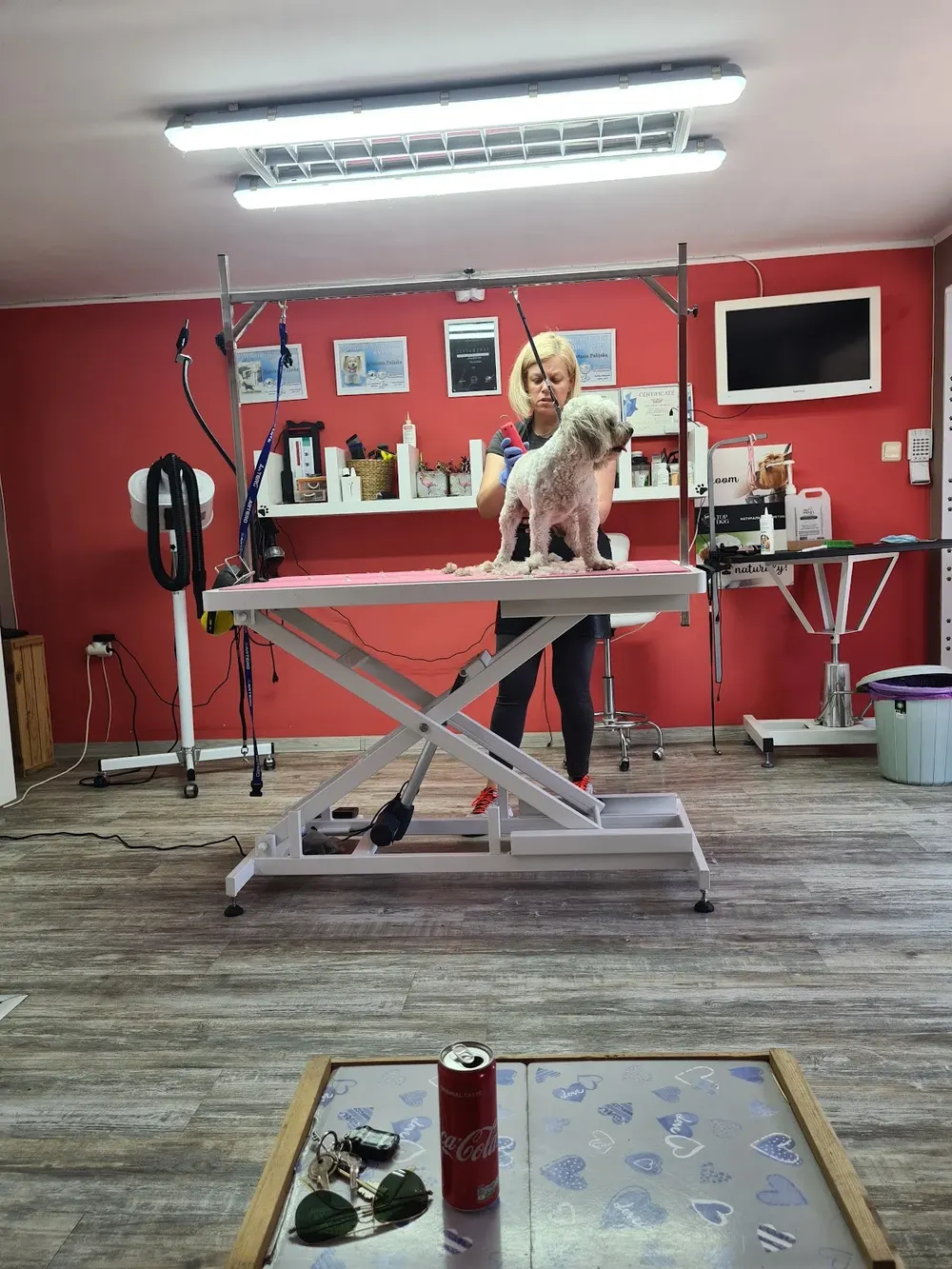 Груминг салон Beauty Pet - 2