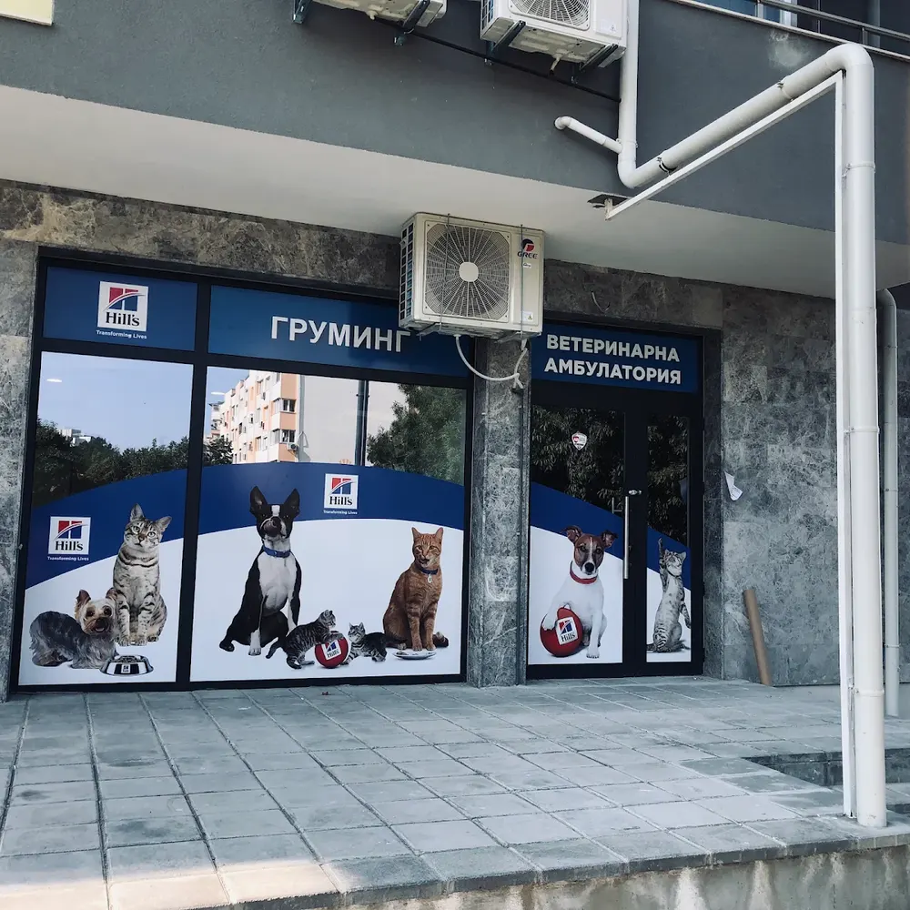 Зоомагазин Вики 2