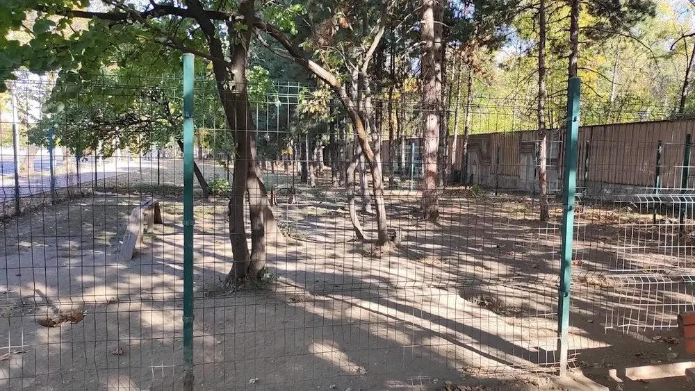Кучешка площадка