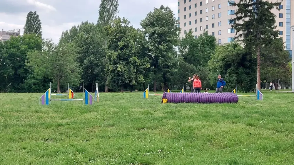 Обучения на кучета