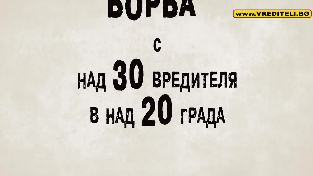 VREDITELI.BG - ДДД фирма НАЕМНИ УБИЙЦИ НА ВРЕДИТЕЛИ (Бран Инсект ЕООД)